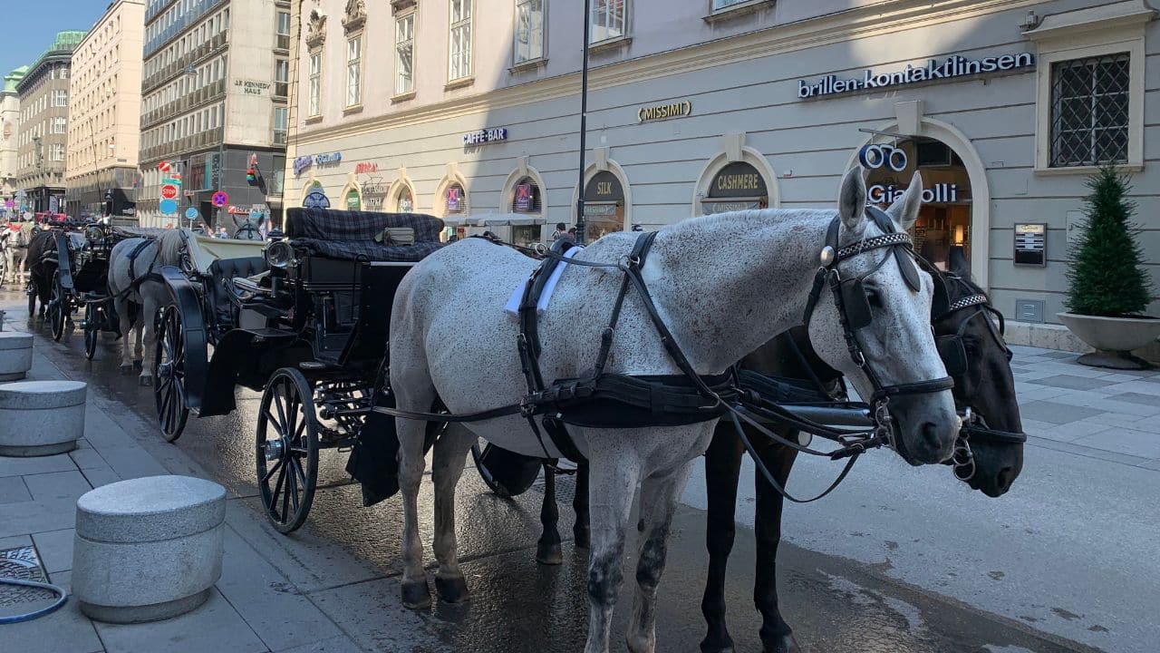 Wien – Erster Bezirk Wien – Erster Bezirk